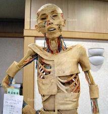 欧美人体PP图片,PP线条的艺术展现