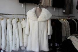 欧美风貂皮图片,奢华貂皮演绎冬日魅力